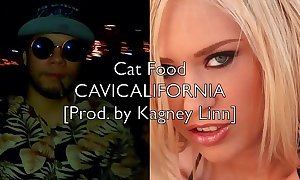 Cavicalifornia - cat cabinet [prod. unconnected with kagney linn]